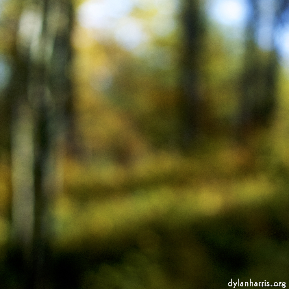image: This is &lsquo;wood (xix) 7&rsquo;.