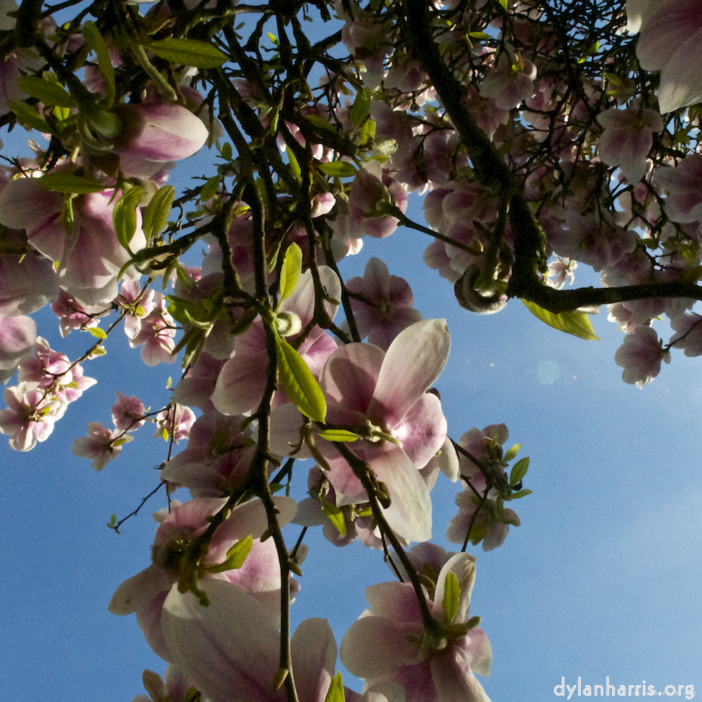 image: Luxembourg