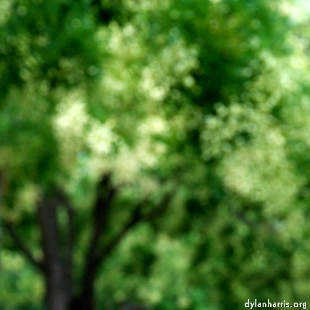 image: This is &lsquo;paris (vii) 4&rsquo;.