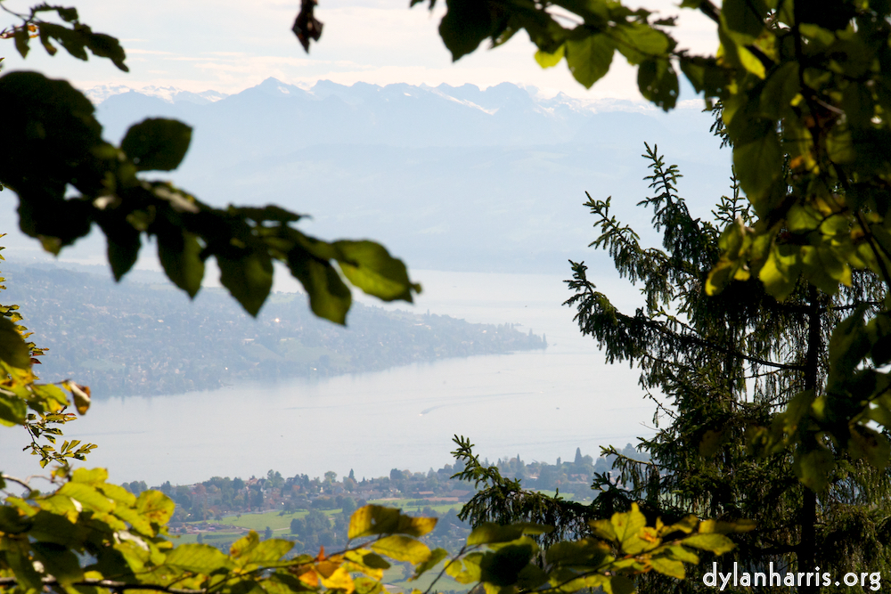image: This is &lsquo;z&uuml;rich (i) 3&rsquo;.