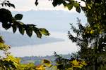 image: Image from the photoset &lsquo;z&uuml;rich (i)&rsquo;.