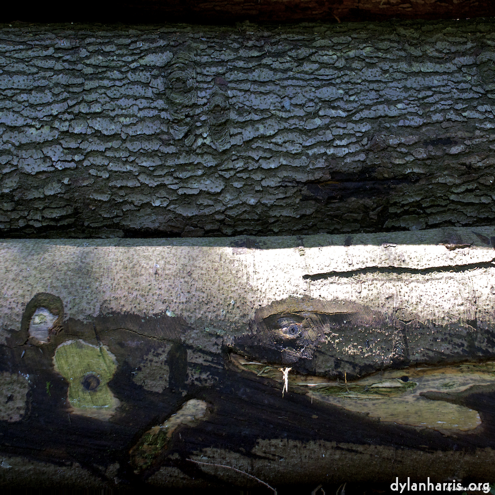 image: This is &lsquo;z&uuml;rich (ii) 2&rsquo;.