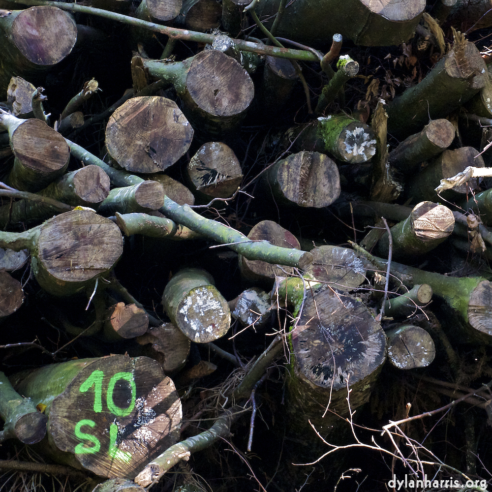 image: This is &lsquo;z&uuml;rich (ii) 3&rsquo;.