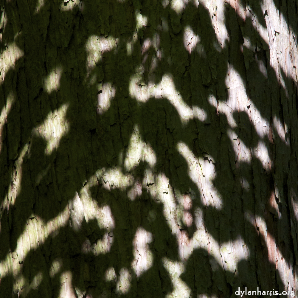 image: This is &lsquo;z&uuml;rich (ii) 6&rsquo;.