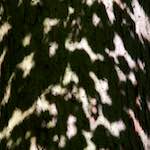 image: Image from the photoset &lsquo;z&uuml;rich (ii)&rsquo;.
