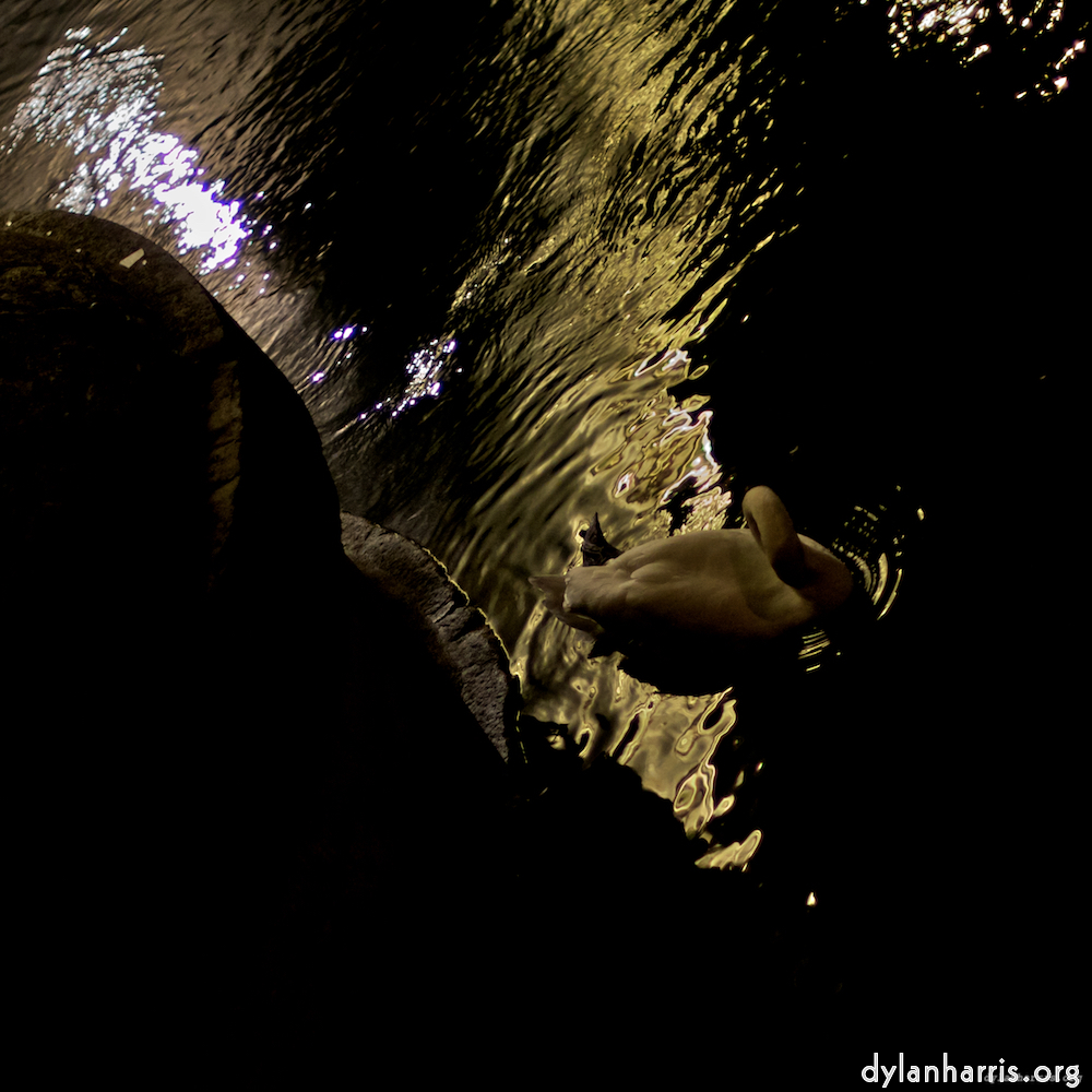 image: This is &lsquo;z&uuml;rich (iii) 3&rsquo;.