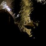image: Image from the photoset &lsquo;z&uuml;rich (iii)&rsquo;.