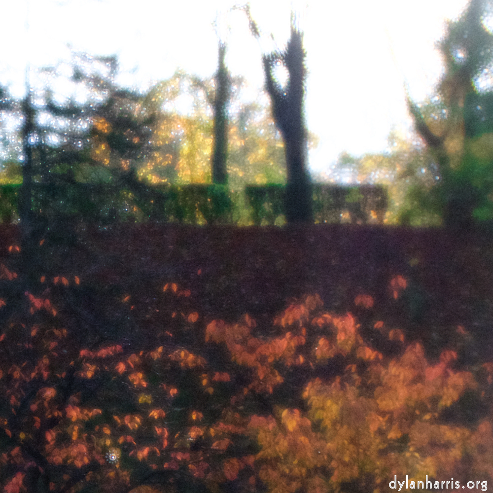 image: D&euml;st ass &lsquo;park (xl) 3&rsquo;.
