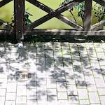 image: Image from the photoset &lsquo;konscht am gronn (iii)&rsquo;.