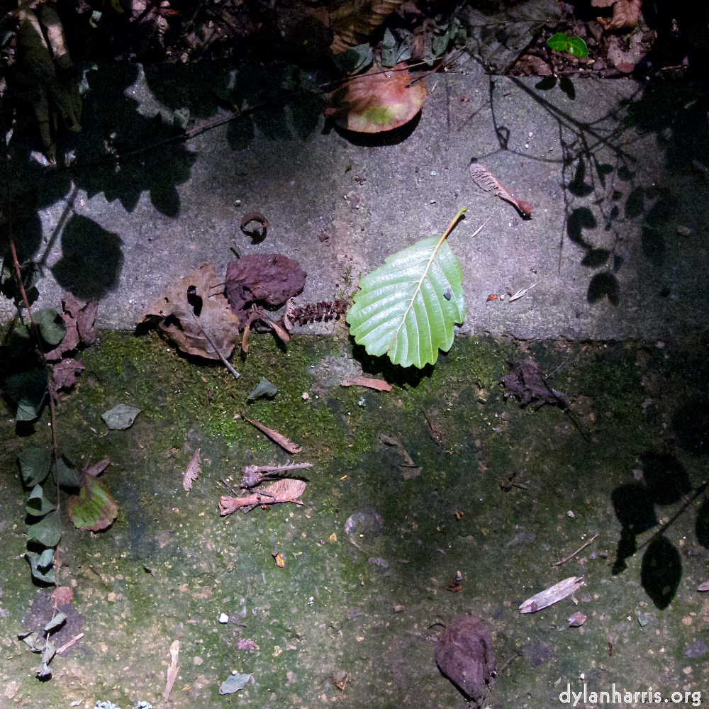image: This is &lsquo;parc (viii) 2&rsquo;.