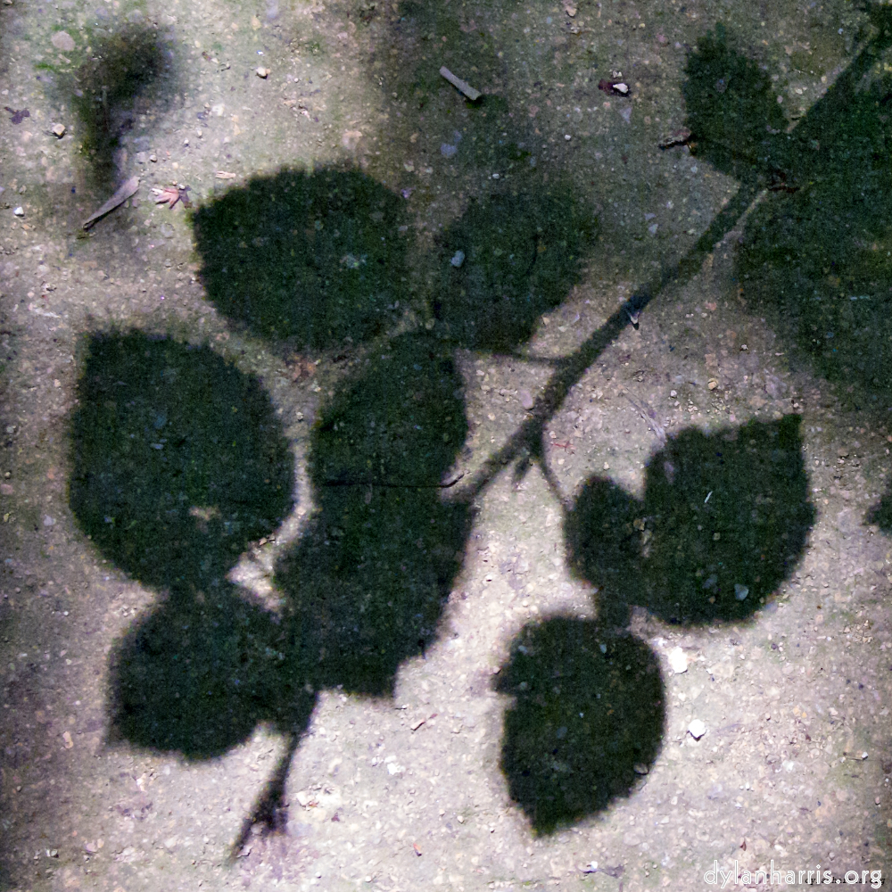 image: This is &lsquo;parc (viii) 4&rsquo;.