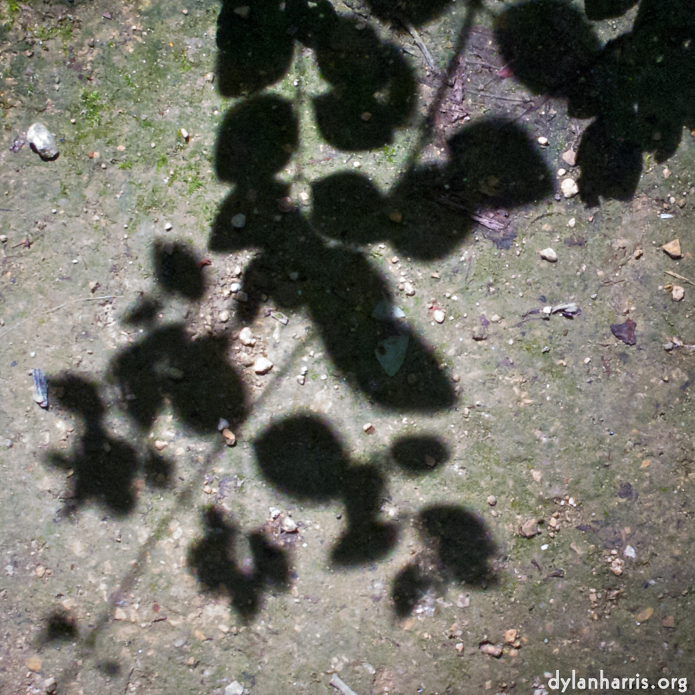 image: This is &lsquo;parc (viii) 6&rsquo;.