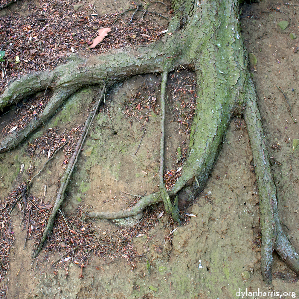image: This is &lsquo;parc (ix) 3&rsquo;.