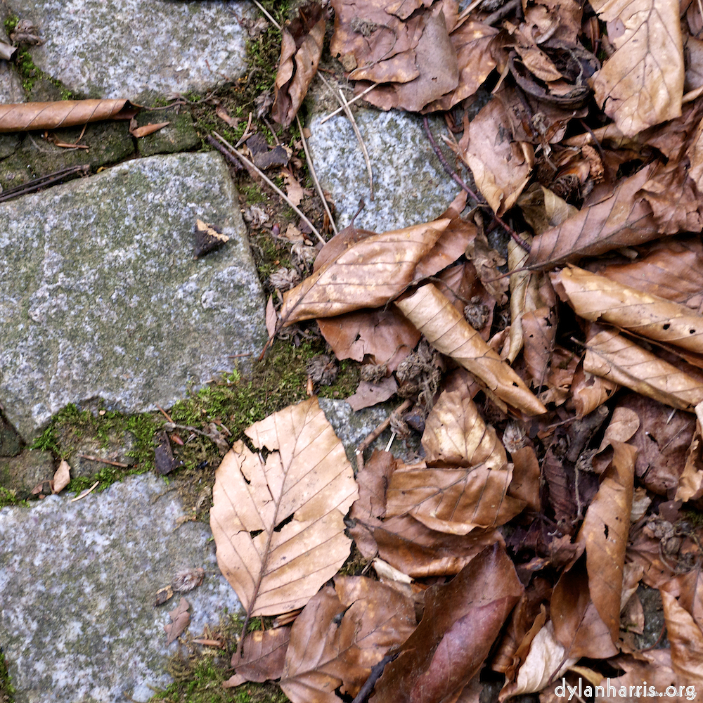 image: This is &lsquo;parc (ix) 6&rsquo;.