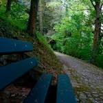 image: Image from the photoset &lsquo;parc (ix)&rsquo;.