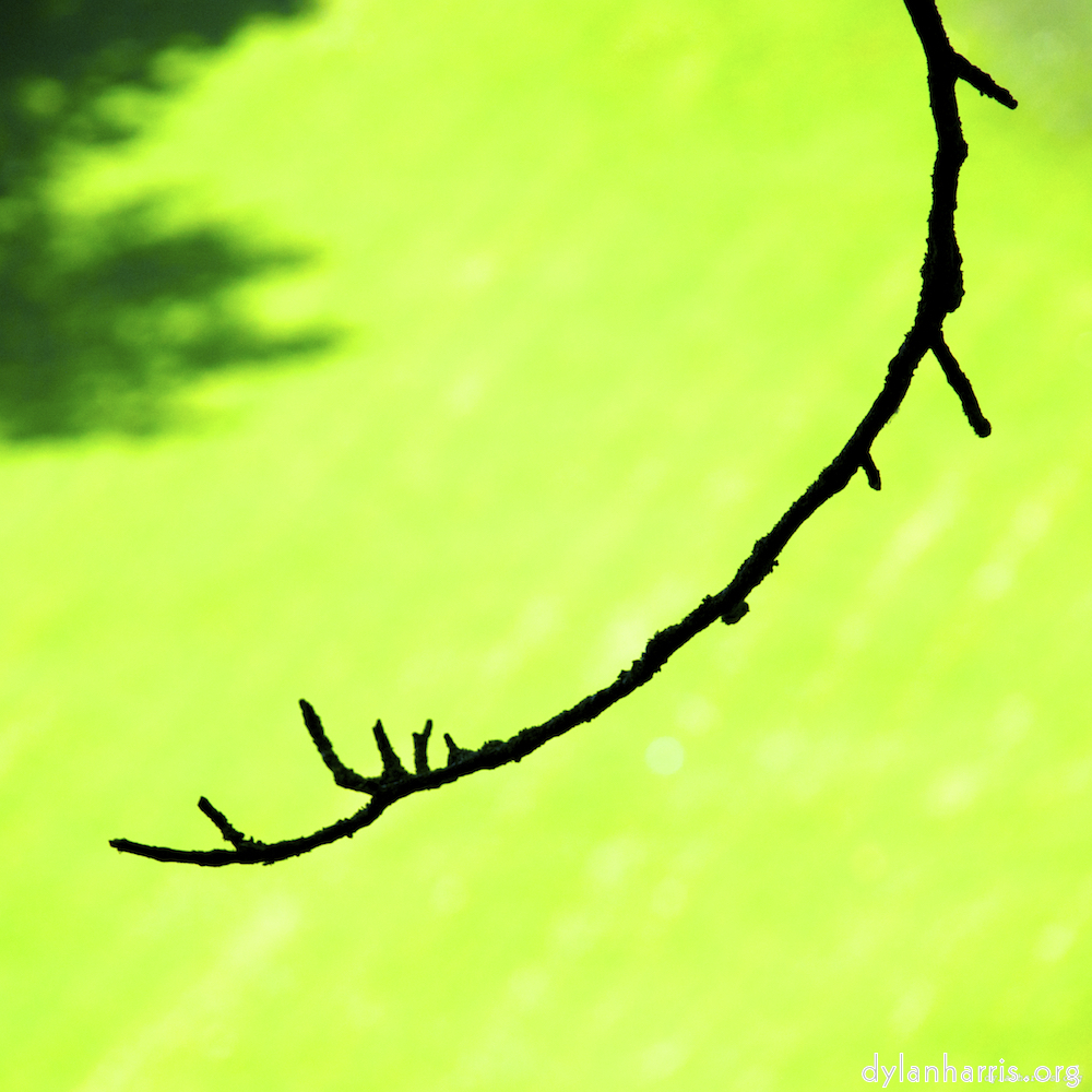 image: This is &lsquo;grund (ii) 2&rsquo;.