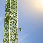 image: Image from the photoset &lsquo;konscht am gronn (ii)&rsquo;.