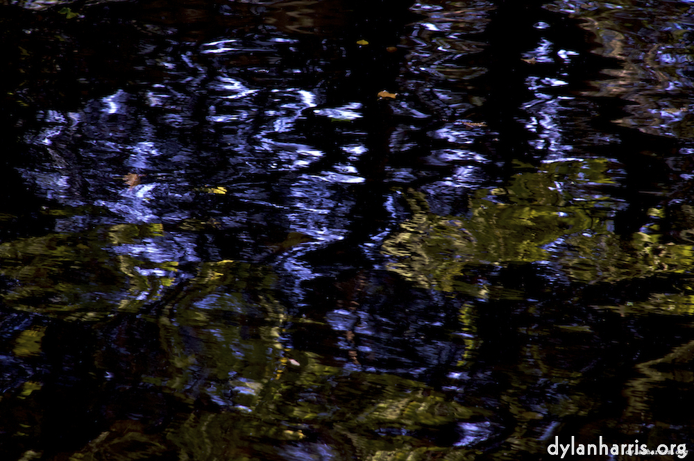 image: This is &lsquo;leaf (iii) 1&rsquo;.