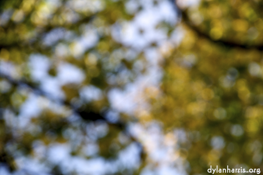 image: This is &lsquo;leaf (iii) 2&rsquo;.