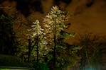 image: Image from the photoset &lsquo;montmartre (iii)&rsquo;.