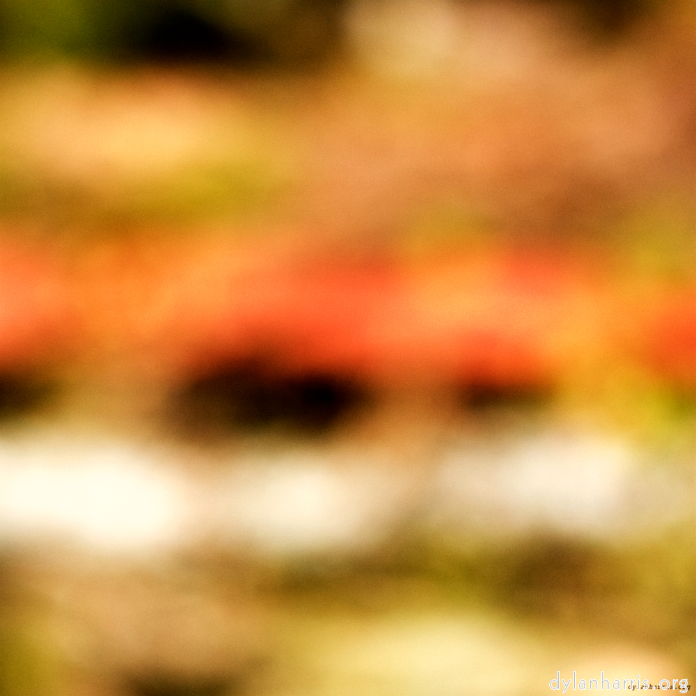 image: This is &lsquo;wood (xx) 5&rsquo;.