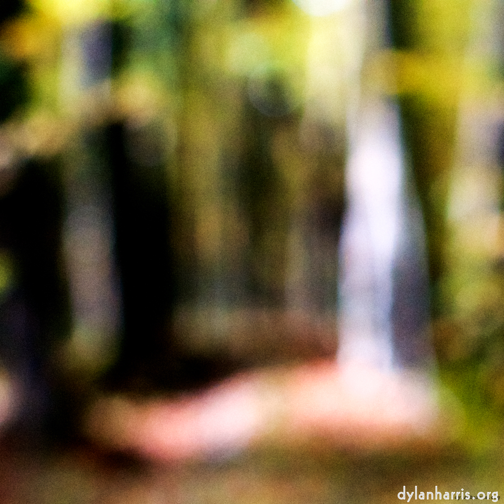 image: This is &lsquo;wood (xxi) 5&rsquo;.
