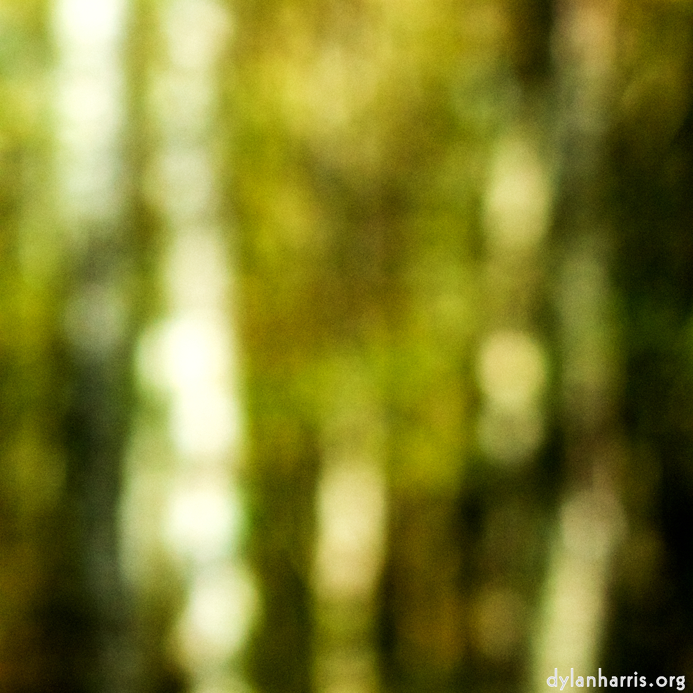 image: This is &lsquo;wood (xxiii) 5&rsquo;.