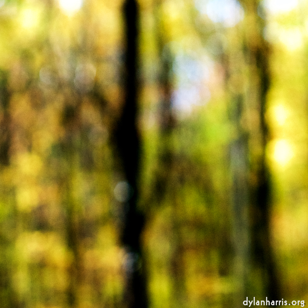 image: This is &lsquo;wood (xxiii) 7&rsquo;.