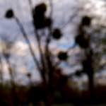 image: Image from the photoset &lsquo;paris (iii)&rsquo;.