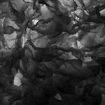 image: Image from the photoset &lsquo;paris (iii)&rsquo;.