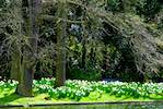 image: Image from the photoset &lsquo;parc (i)&rsquo;.
