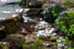 image: Image from the photoset &lsquo;parc (i)&rsquo;.