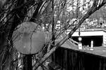 image: Image from the photoset &lsquo;parc (i)&rsquo;.