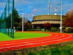 image: Image from the photoset &lsquo;parc (i)&rsquo;.