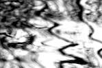 image: Image from the photoset &lsquo;parc (i)&rsquo;.