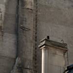 image: Image from the photoset &lsquo;monade&rsquo;.