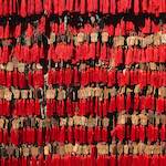 image: Image from the photoset &lsquo;forbidden city (i)&rsquo;.