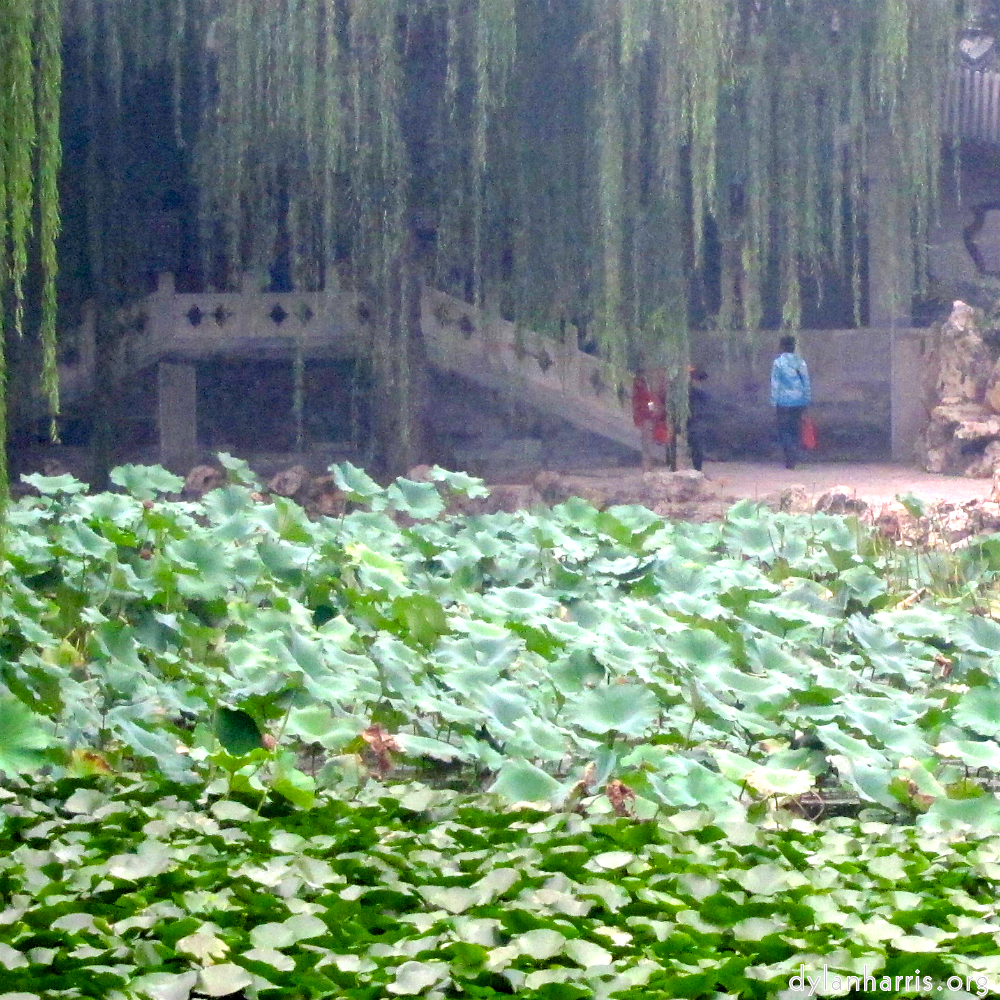 image: This is &lsquo;summer palace (i) 4&rsquo;.