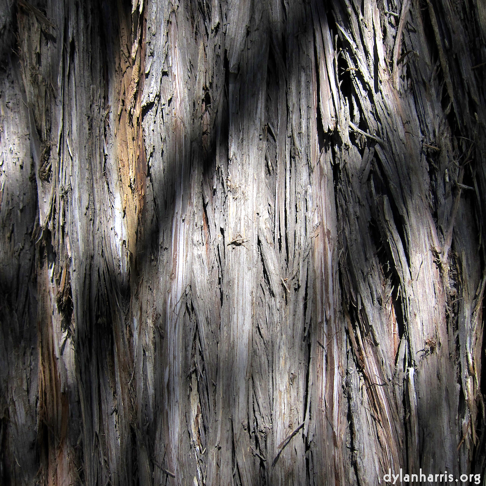 image: This is &lsquo;summer palace (ii) 1&rsquo;.