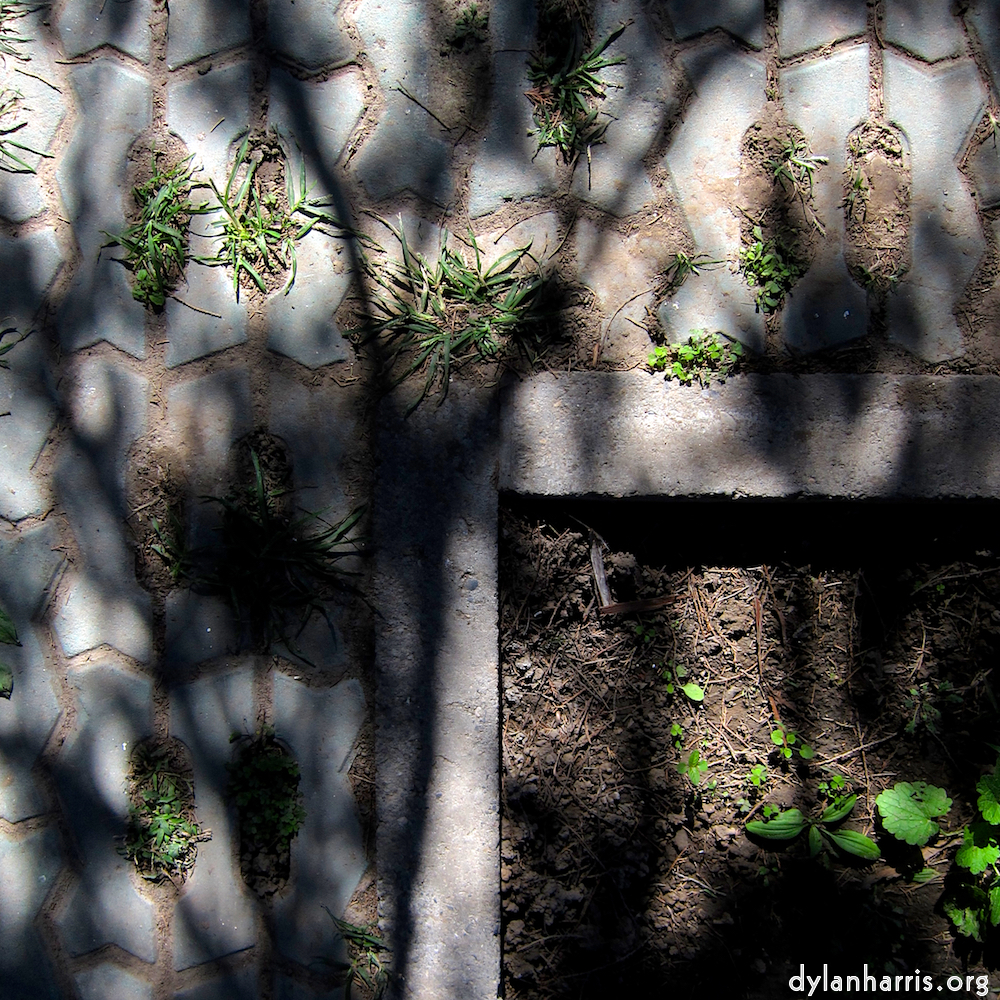 image: This is &lsquo;summer palace (ii) 4&rsquo;.