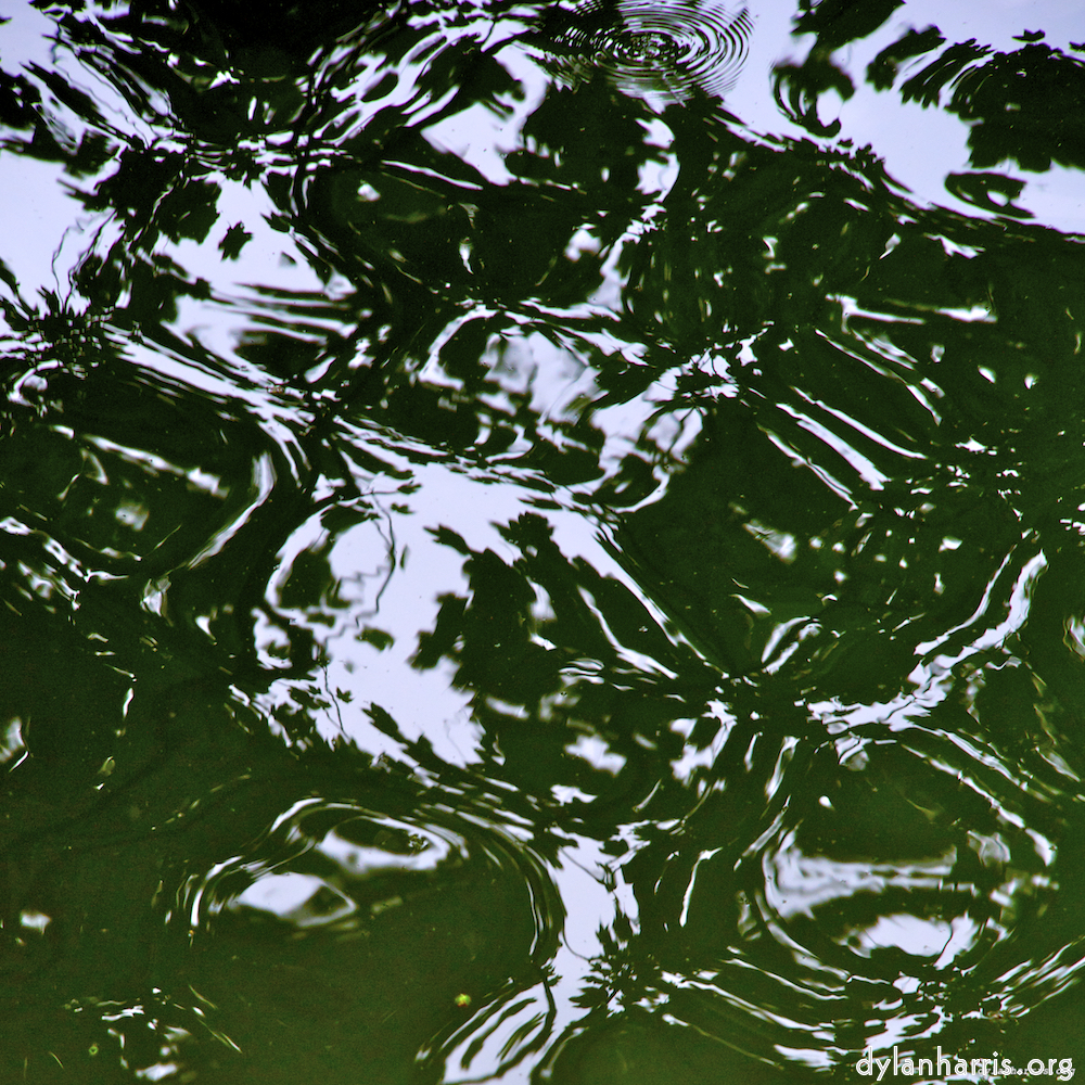 image: This is &lsquo;parc (iv) 2&rsquo;.