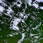 image: Image from the photoset &lsquo;parc (iv)&rsquo;.