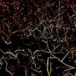 image: Image from the photoset &lsquo;nuit (iv)&rsquo;.