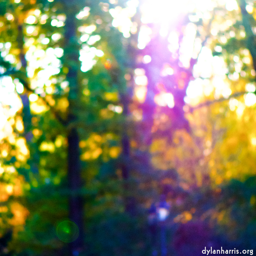 image: This is &lsquo;parc (xxxiv) 2&rsquo;.