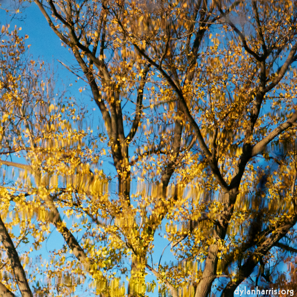 image: This is &lsquo;parc (xxxiv) 3&rsquo;.