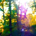 image: Image from the photoset &lsquo;parc (xxxiv)&rsquo;.