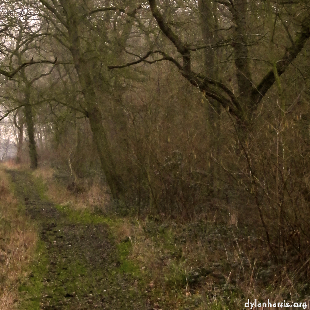 image: This is &lsquo;swineshead (vi) 1&rsquo;.