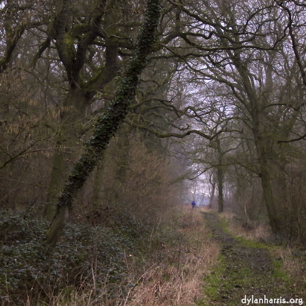 image: This is &lsquo;swineshead (vi) 9&rsquo;.