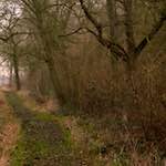 image: Image from the photoset &lsquo;swineshead (vi) &mdash; buster&rsquo;s vanished&rsquo;.