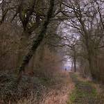 image: Image from the photoset &lsquo;swineshead (vi) &mdash; buster&rsquo;s vanished&rsquo;.